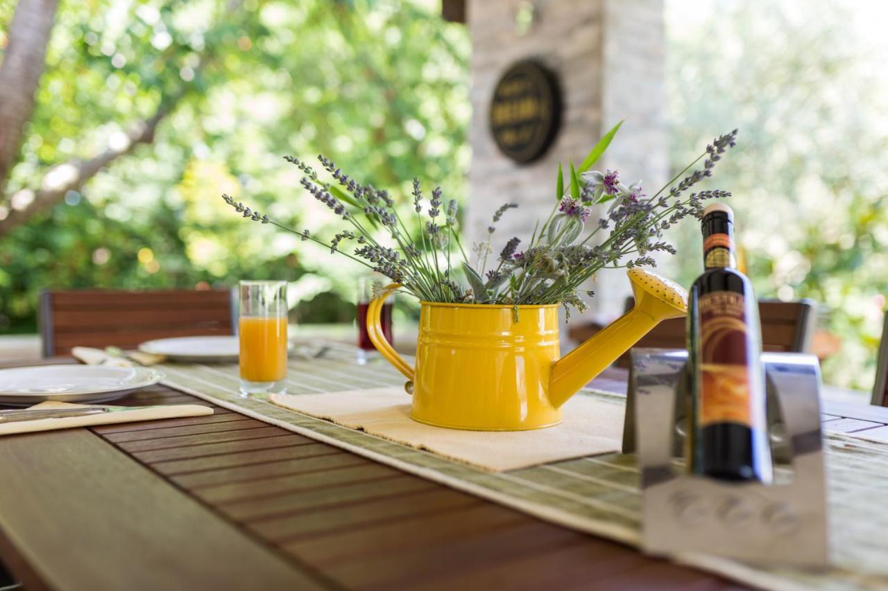 Molnar Resort Villa Mimoza&Apartment Nea Brzac Esterno foto