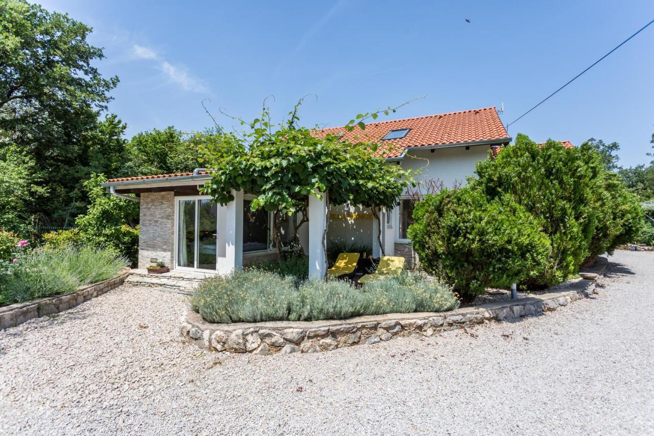 Molnar Resort Villa Mimoza&Apartment Nea Brzac Esterno foto