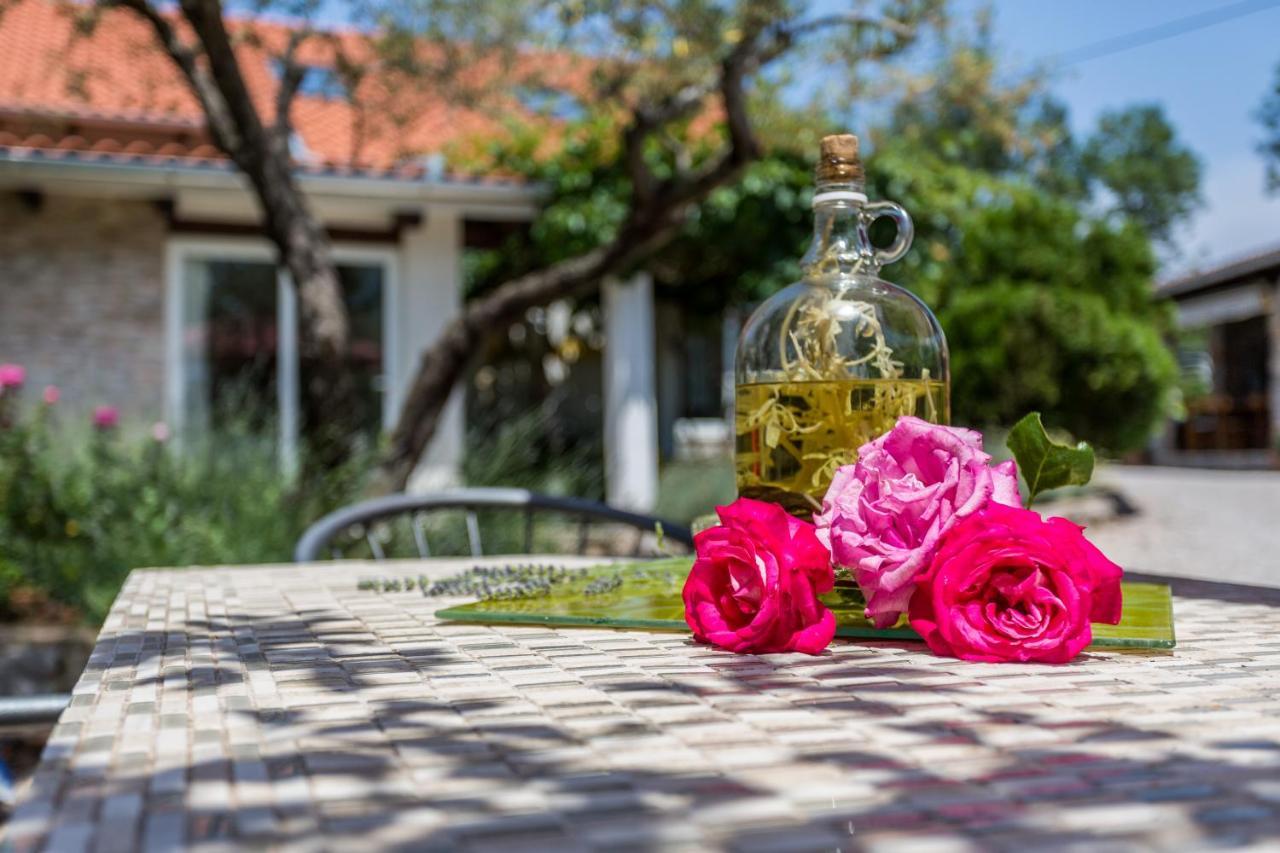 Molnar Resort Villa Mimoza&Apartment Nea Brzac Esterno foto