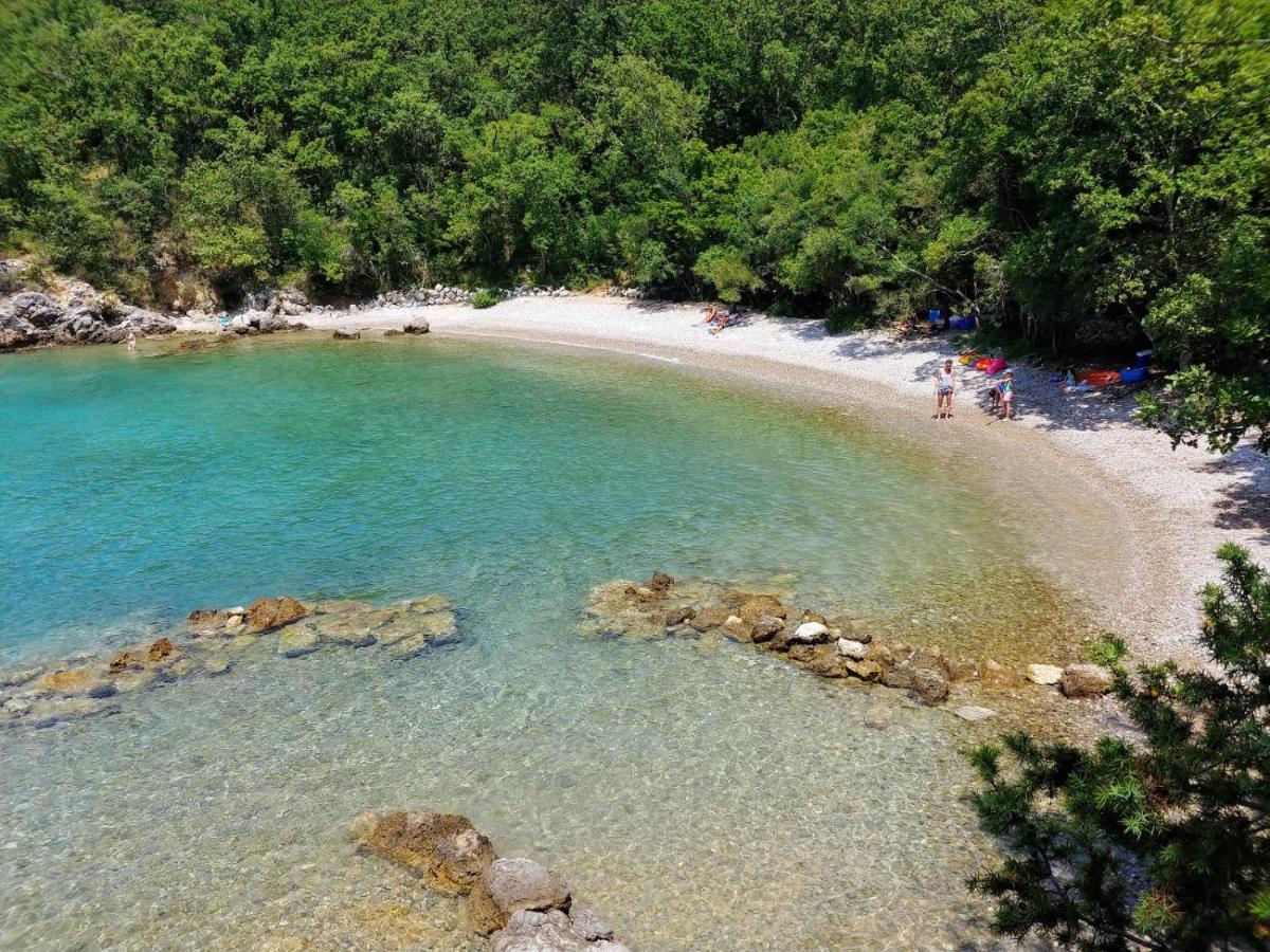 Molnar Resort Villa Mimoza&Apartment Nea Brzac Esterno foto