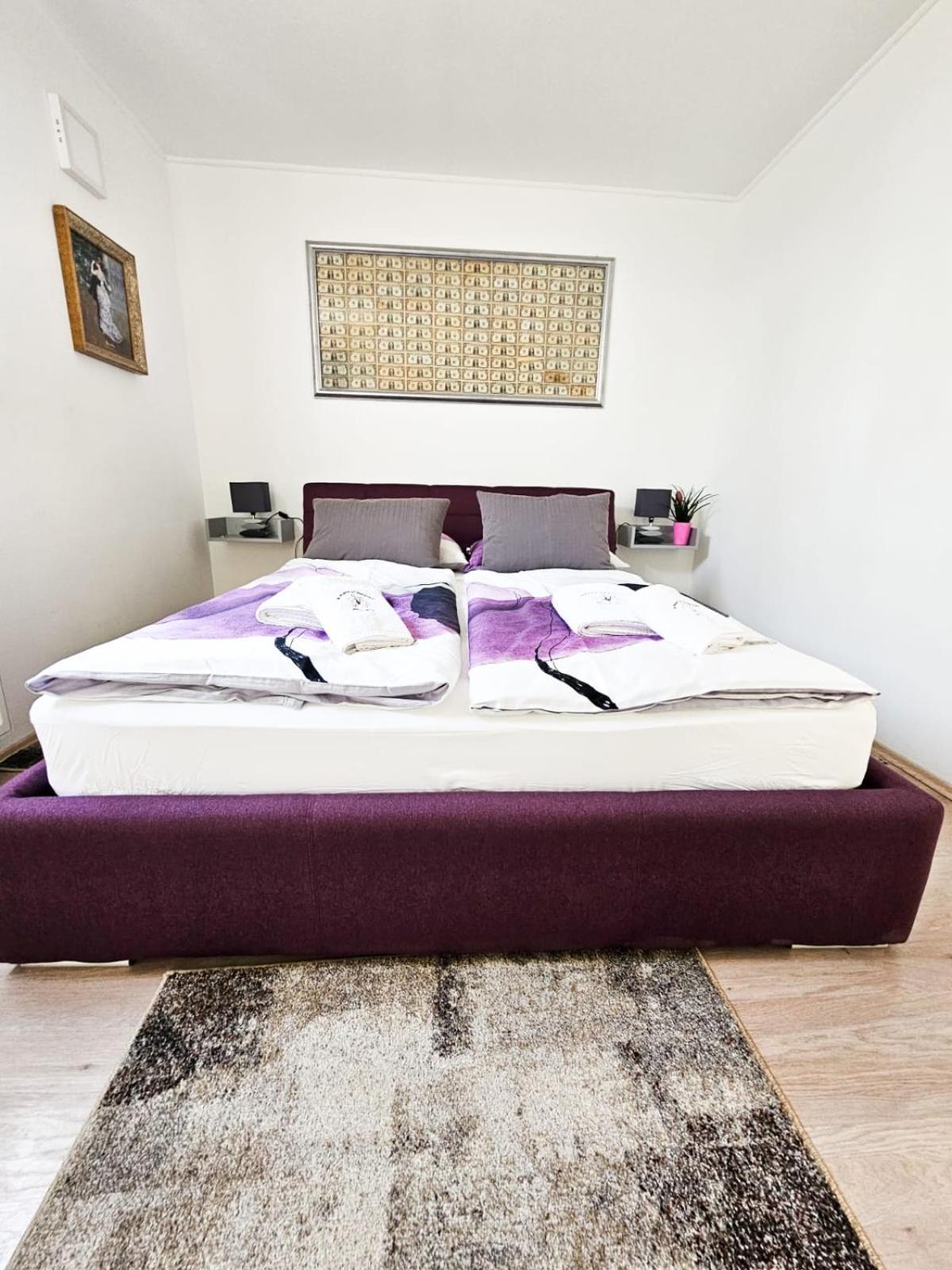 Molnar Resort Villa Mimoza&Apartment Nea Brzac Esterno foto
